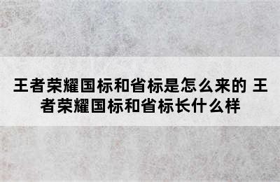 王者荣耀国标和省标是怎么来的 王者荣耀国标和省标长什么样